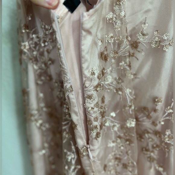 Blush Pink Sequin Backless Maxi Dress - Picture 8 of 10